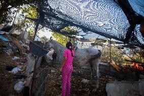Heatwave And Power Shortages Hit Gaza