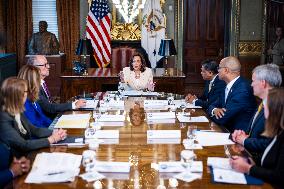 VP Harris meets with state attorneys general on fentanyl