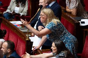 Questions to the government at the National Assembly - Paris