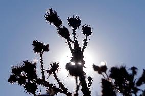 ROMANIA-BUCHAREST-HEAT WAVE