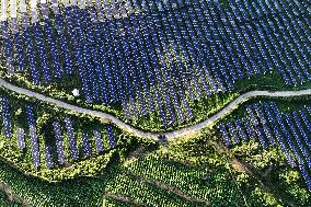 Rural Power System in Chongqing