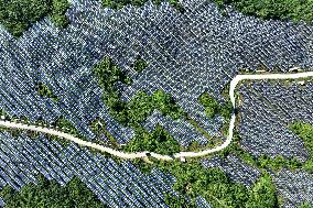 Rural Power System in Chongqing