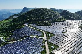 Rural Power System in Chongqing