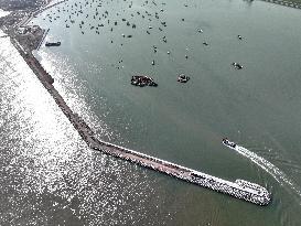 Liandao National Central Fishing Port Construction in Lianyungang, China