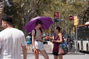 Extreme Heat Scorches Barcelona