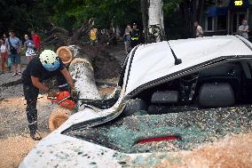 Aftermath of storm in Zaporizhzhia