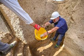 Discovery Of An Intact 2600-Year-Old Etruscan Tomb - Rome