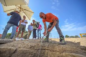 Discovery Of An Intact 2600-Year-Old Etruscan Tomb - Rome