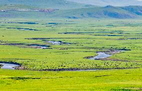 Winding Mogoler River on The Grassland in Hulunbuir