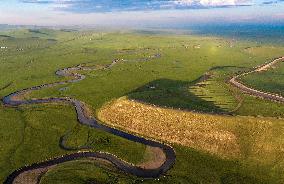 Winding Mogoler River on The Grassland in Hulunbuir