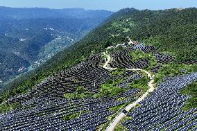 Rural Power System in Chongqing