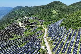 Rural Power System in Chongqing