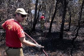 Wildfire In Kalithea Loutrakiou In Loutraki Area