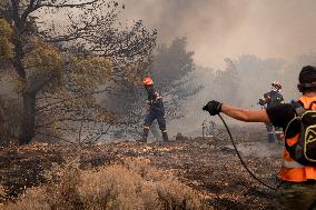 Wildfire In Nea Zoi Of Nea Peramos