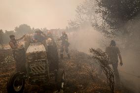 Wildfire In Nea Zoi Of Nea Peramos