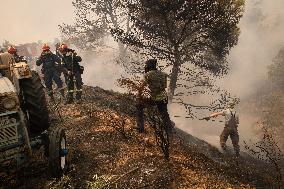 Wildfire In Nea Zoi Of Nea Peramos