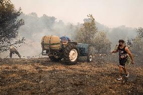 Wildfire In Nea Zoi Of Nea Peramos