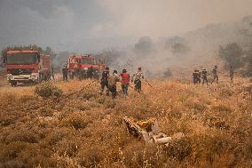 Wildfire In Nea Zoi Of Nea Peramos