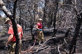 Wildfire In Kalithea Loutrakiou In Loutraki Area