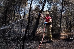 Wildfire In Kalithea Loutrakiou In Loutraki Area