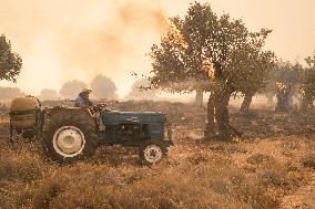 Wildfire In Nea Zoi Of Nea Peramos