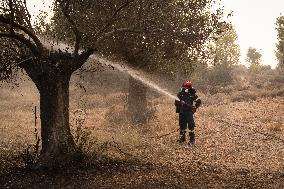 Wildfire In Nea Zoi Of Nea Peramos