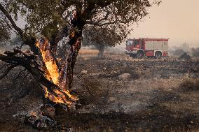 Wildfire In Nea Zoi Of Nea Peramos