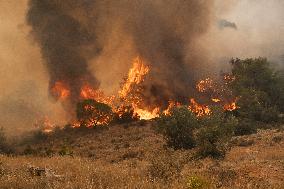 Wildfire In Nea Zoi Of Nea Peramos