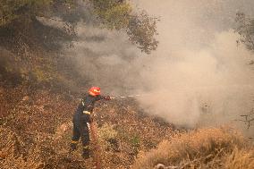 Wildfire In Nea Zoi Of Nea Peramos