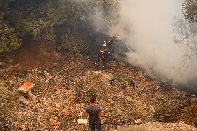 Wildfire In Nea Zoi Of Nea Peramos