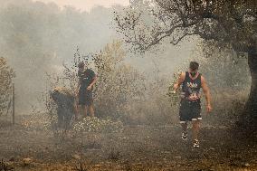 Wildfire In Nea Zoi Of Nea Peramos