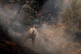 Wildfire In Nea Zoi Of Nea Peramos