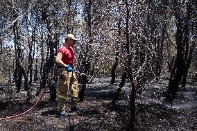 Wildfire In Kalithea Loutrakiou In Loutraki Area