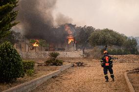 Wildfire In Nea Zoi Of Nea Peramos