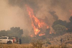 Wildfire In Nea Zoi Of Nea Peramos