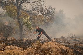 Wildfire In Nea Zoi Of Nea Peramos