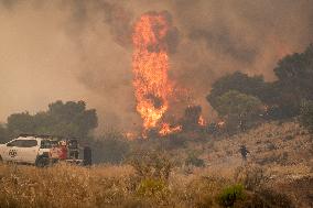 Wildfire In Nea Zoi Of Nea Peramos