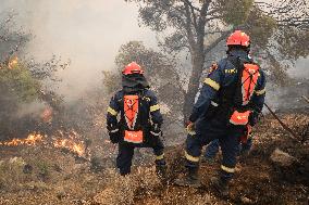 Wildfire In Nea Zoi Of Nea Peramos