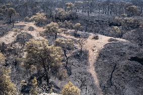 Wildfire In Kalithea Loutrakiou In Loutraki Area