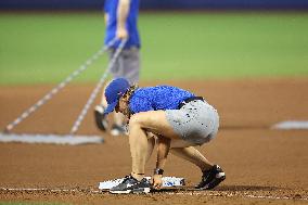 Chicago White Sox Vs. New York Mets