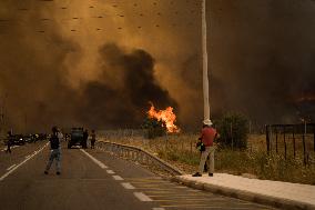 Wildfires Ravage Greece