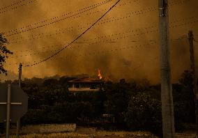 Wildfires Ravage Greece