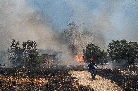 Wildfires Ravage Greece