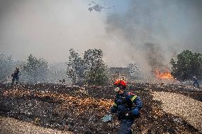 Wildfires Ravage Greece