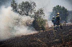 Wildfires Ravage Greece