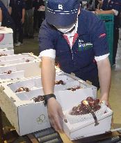 Premium grapes from central Japan