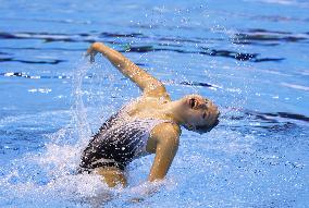 World aquatics championships