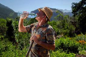 Hydration In The Elderly During Periods Of High Heat - Briancon