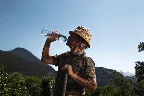 Hydration In The Elderly During Periods Of High Heat - Briancon