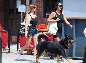 Emily Ratajkowski Grocery Shopping in New York